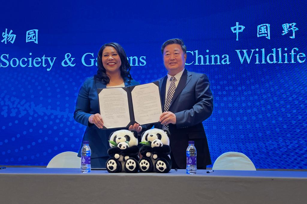 San Francisco mayor announces the city will receive pandas from China - The Mercury News