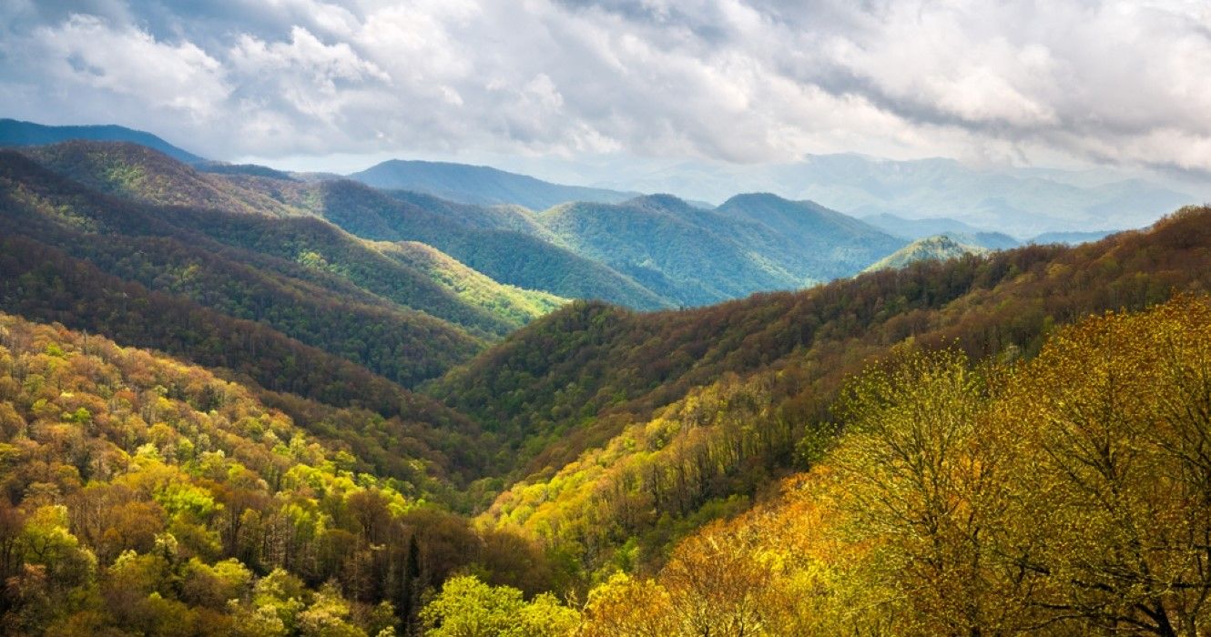 10 Awesome Things That You Can Do In Tennessee - TheTravel