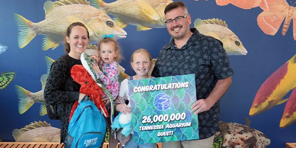 Visitor Milestone Arrives As Tennessee Aquarium Approaches 30th Anniversary - Chattanooga Pulse